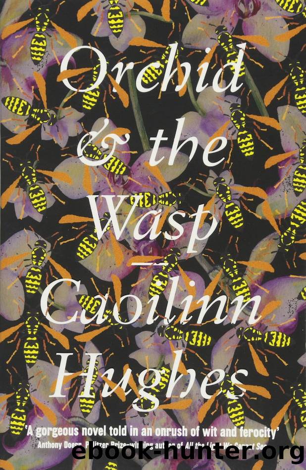Orchid & the Wasp by Caoilinn Hughes (author)