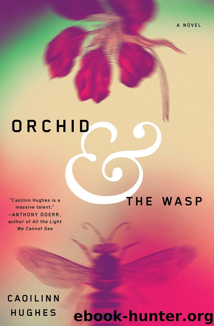 Orchid & the Wasp by Hughes Caoilinn