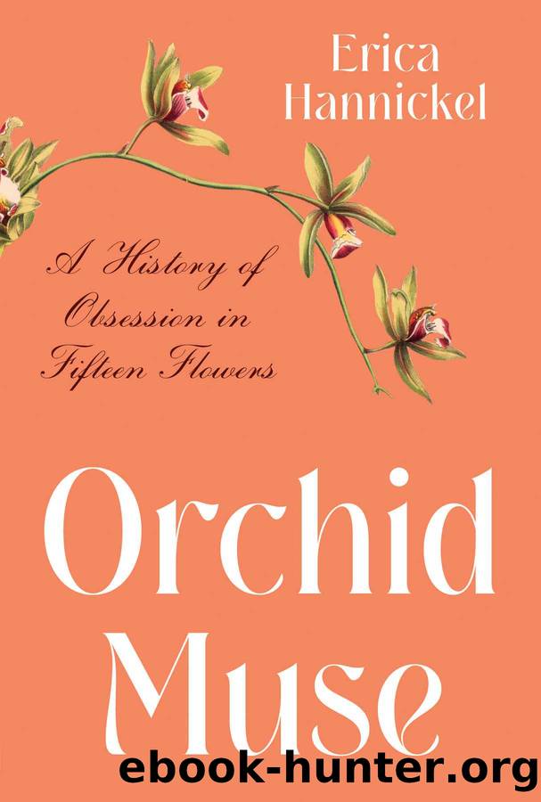 Orchid Muse by Erica Hannickel