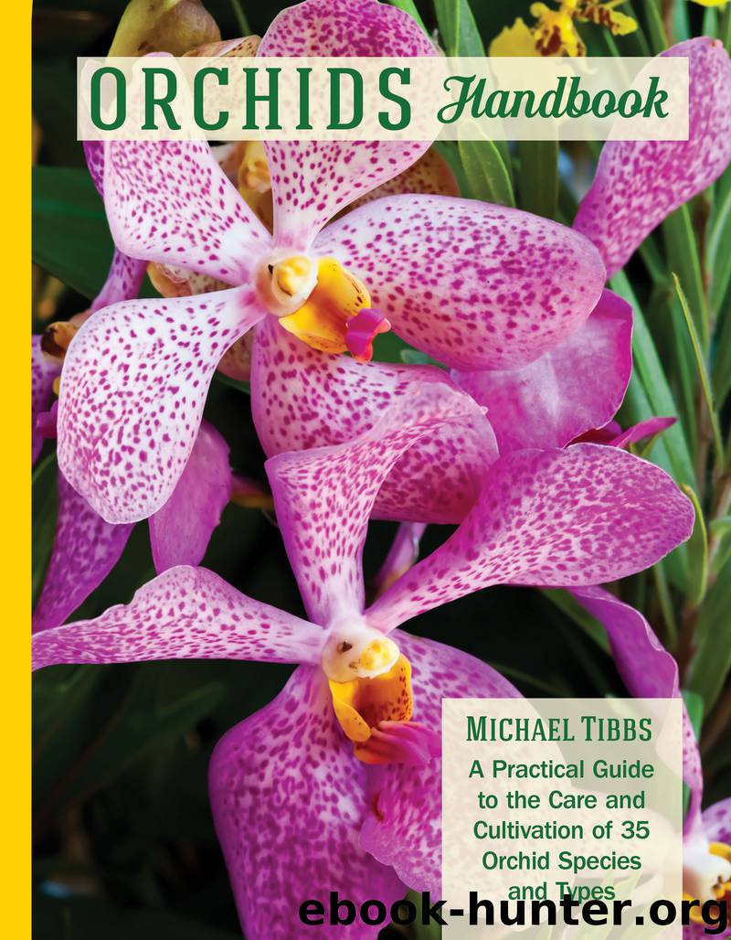 Orchids Handbook by Michael Tibbs