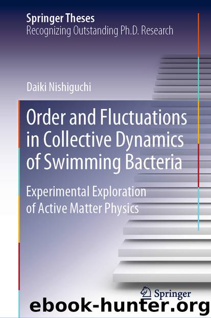 Order and Fluctuations in Collective Dynamics of Swimming Bacteria by Daiki Nishiguchi