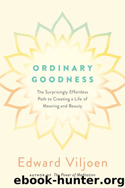Ordinary Goodness by Mr. Edward Viljoen