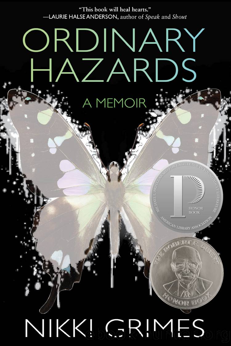 Ordinary Hazards by Nikki Grimmes
