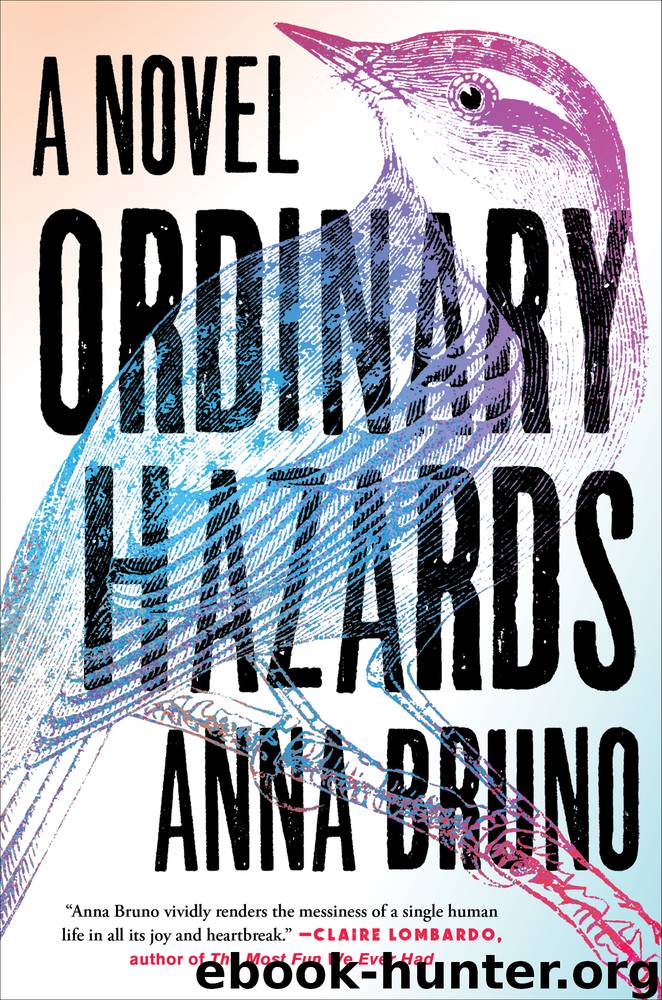 Ordinary Hazards: A Novel by Anna Bruno