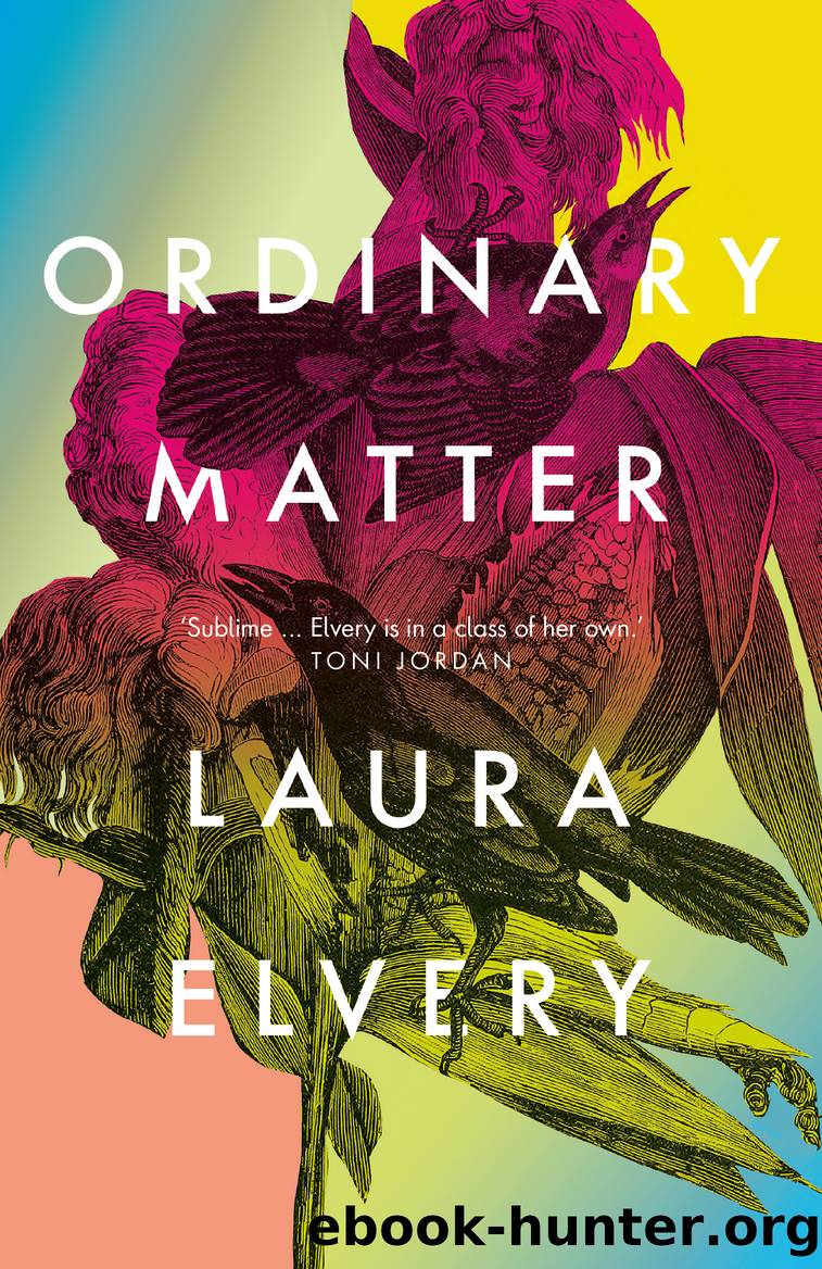 Ordinary Matter by Laura Elvery