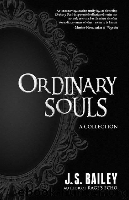 Ordinary Souls by J. S. Bailey