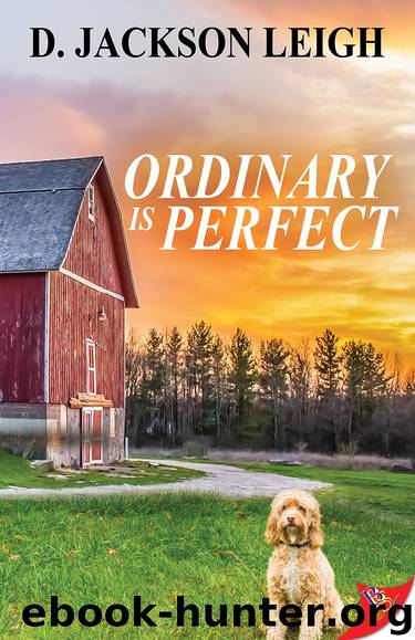 Ordinary is Perfect by D. Jackson Leigh