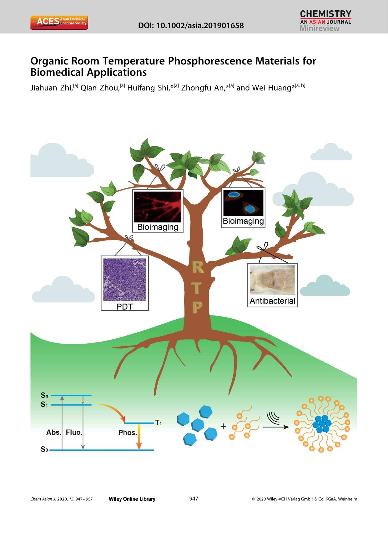 Organic Room Temperature Phosphorescence Materials for Biomedical Applications by Unknown