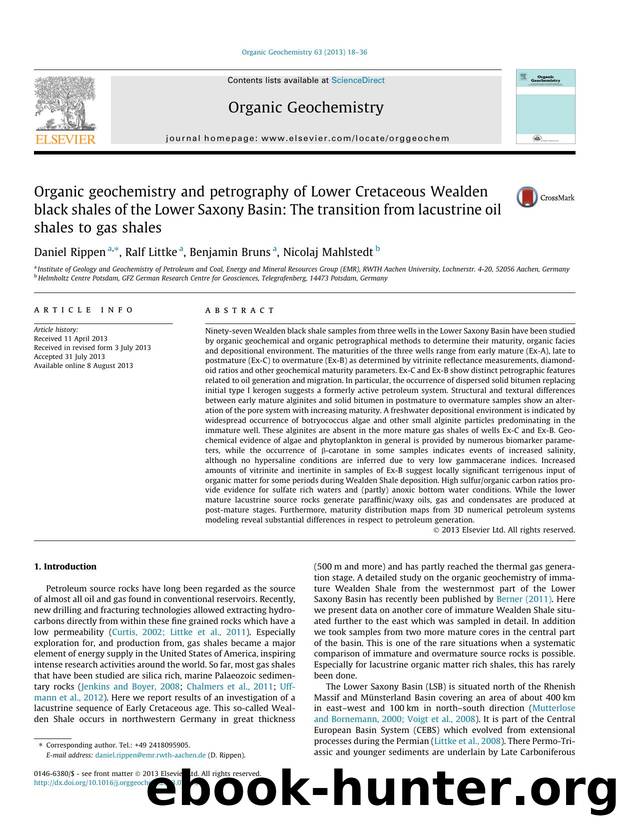 Organic geochemistry and petrography of Lower Cretaceous Wealden black shales of the Lower Saxony Basin: The transition from lacustrine oil shales to gas shales by Daniel Rippen & Ralf Littke & Benjamin Bruns & Nicolaj Mahlstedt