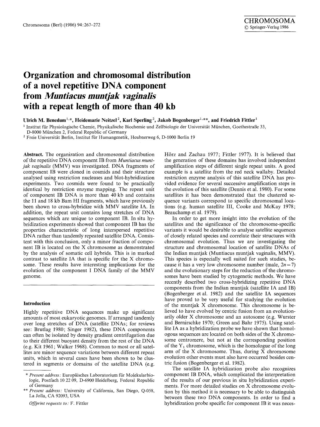Organization and chromosomal distribution of a novel repetitive DNA component from <Emphasis Type="Italic">Muntiacus muntjak vaginalis<Emphasis> with a repeat length of more than 40 kb by Unknown