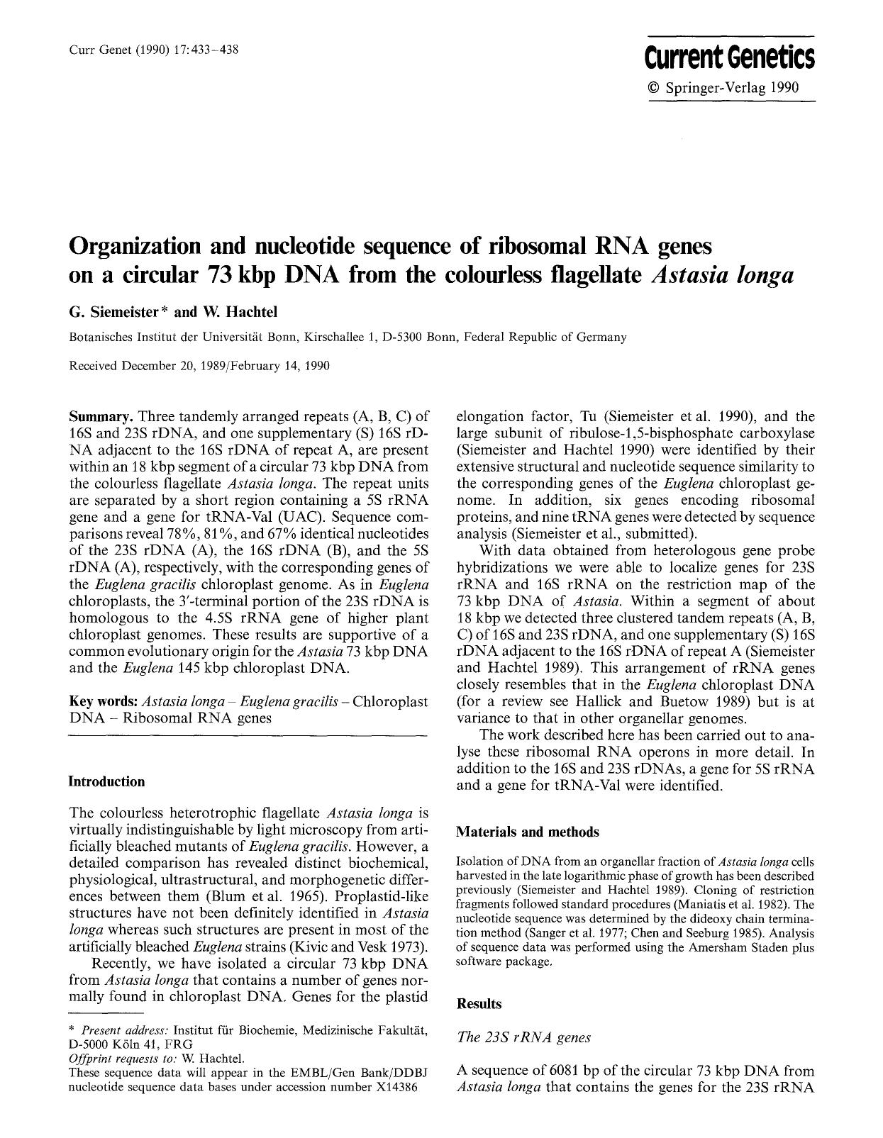 Organization and nucleotide sequence of ribosomal RNA genes on a circular 73 kbp DNA from the colourless flagellate <Emphasis Type="Italic">Astasia longa<Emphasis> by Unknown