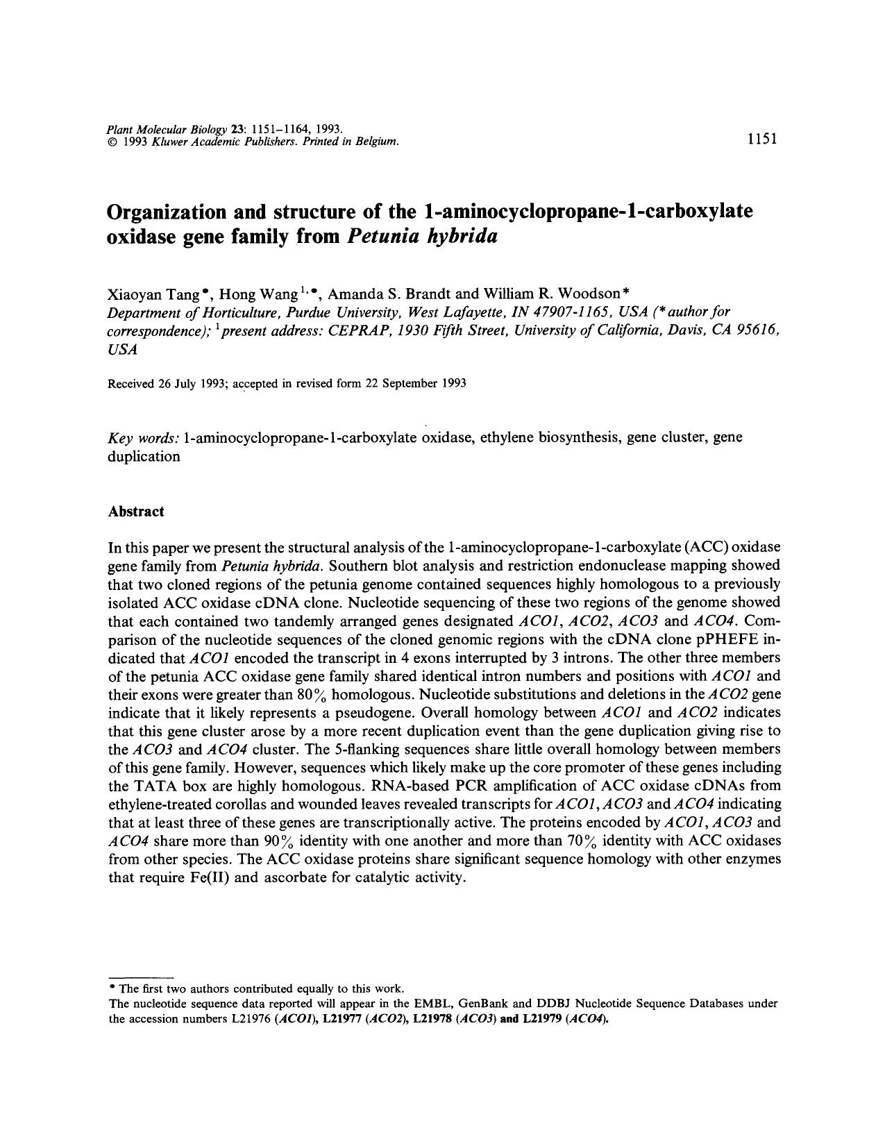 Organization and structure of the 1-aminocyclopropane-1-carboxylate oxidase gene family from <Emphasis Type="Italic">Petunia hybrida<Emphasis> by Unknown