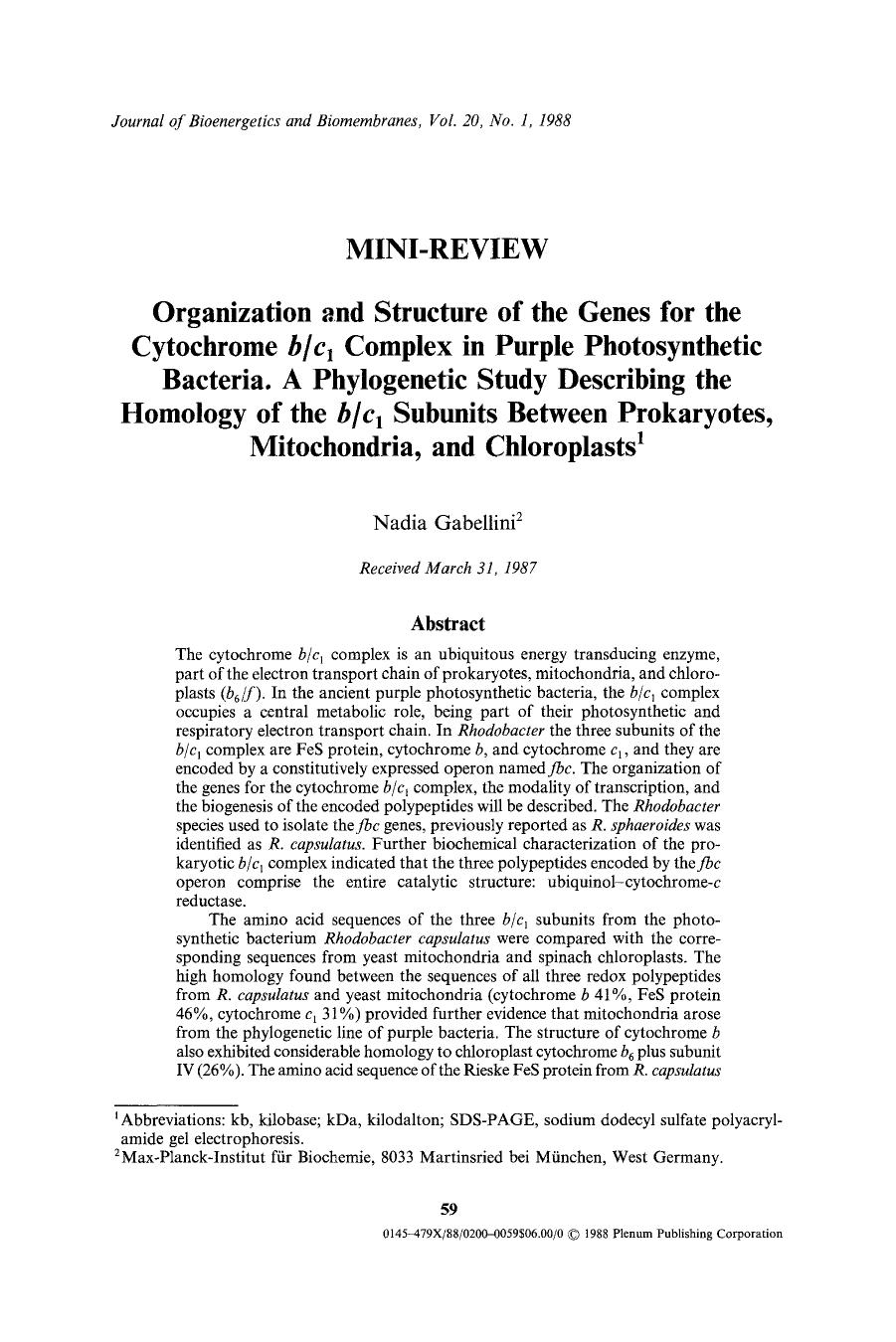 Organization and structure of the genes for the cytochrome <Emphasis Type="Italic">bc <Emphasis> <Subscript>1 <Subscript> complex in purple photosynthetic bacteria. A phylogenetic by Unknown