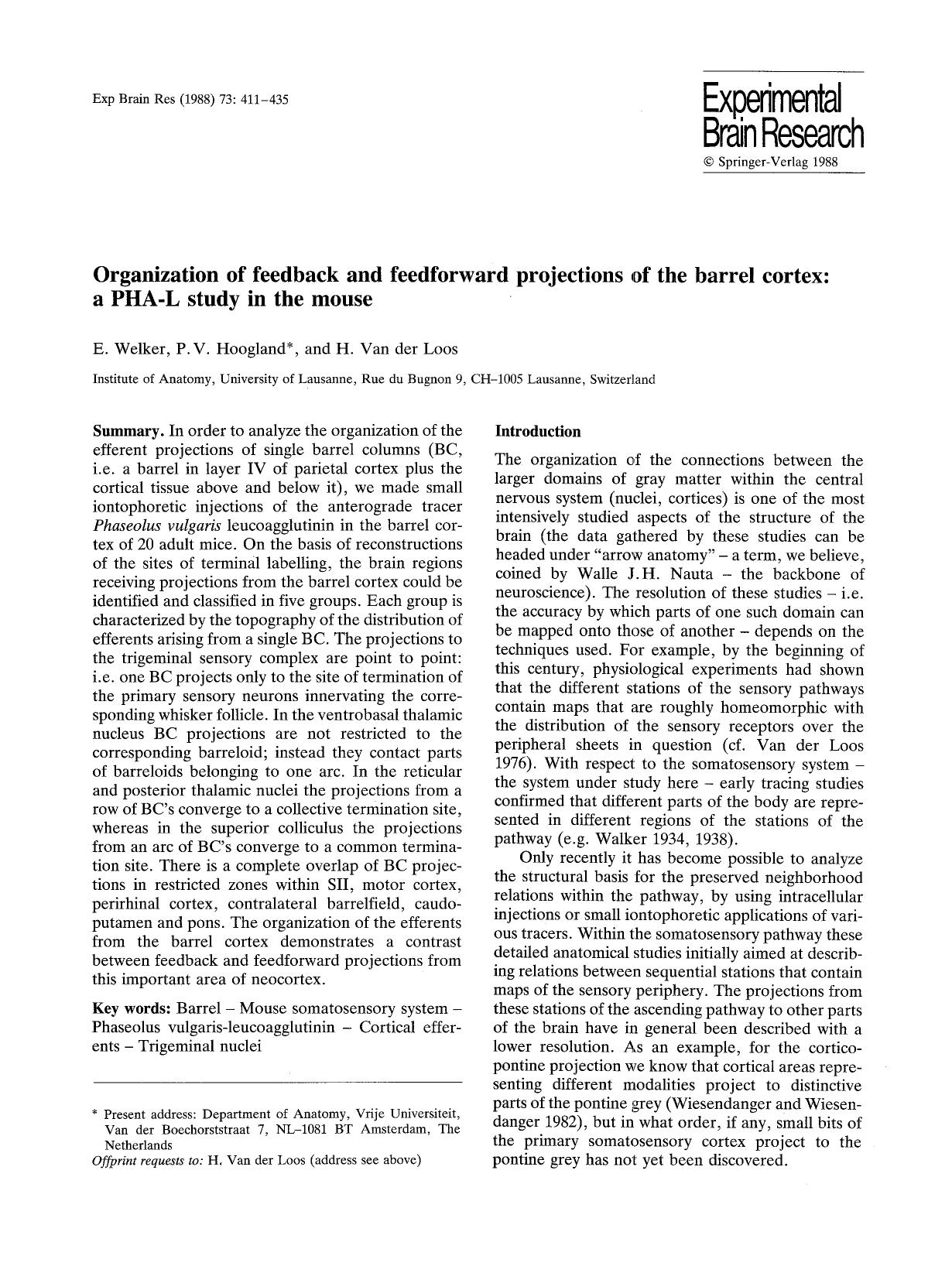 Organization of feedback and feedforward projections of the barrel cortex: a PHA-L study in the mouse by Unknown