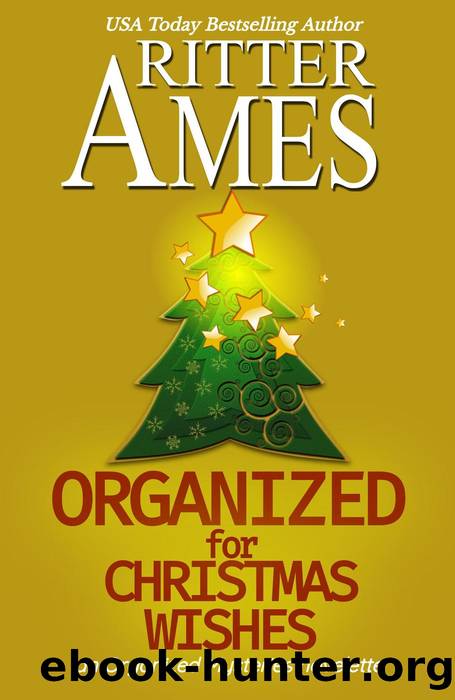 Organized for Christmas Wishes by Ritter Ames