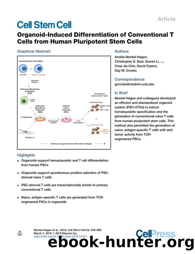 Organoid-Induced Differentiation of Conventional T Cells from Human Pluripotent Stem Cells by unknow