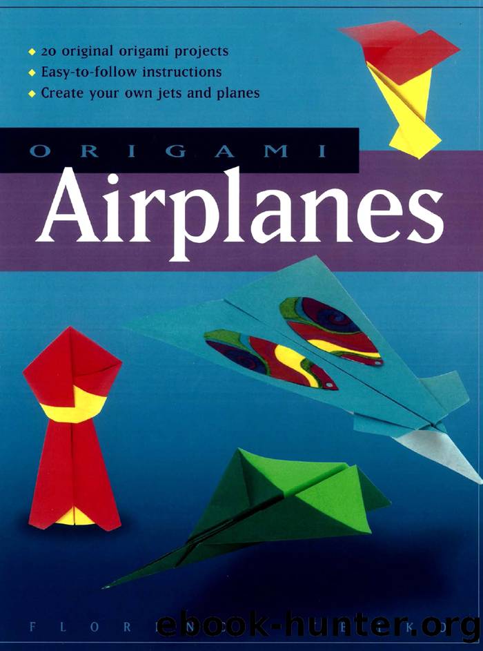 Origami Airplanes by Florence Temko
