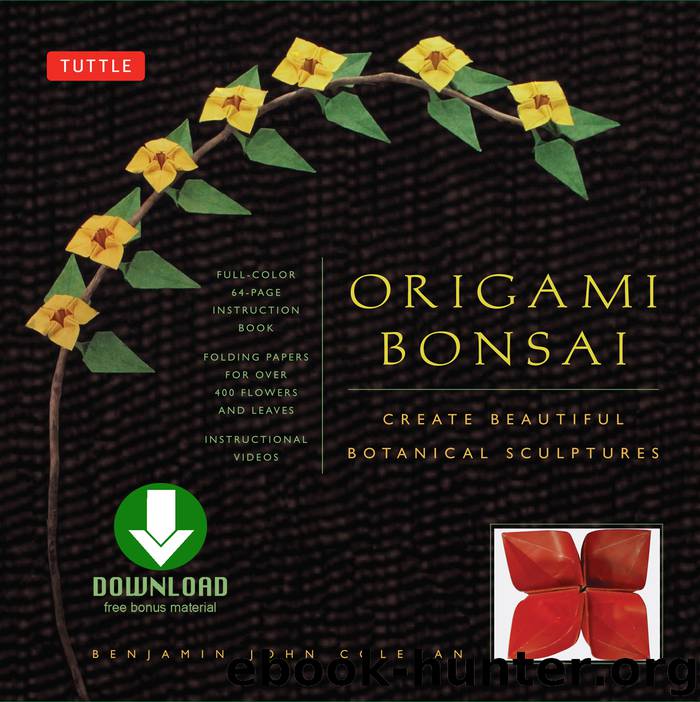 Origami Bonsai by Benjamin John Coleman