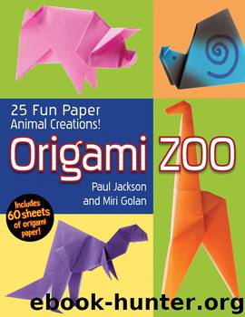 Origami Zoo by Paul Jackson & Illustrations by Paul Jackson & Photography by Avi Valdman