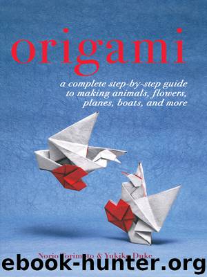 Origami by Norio Torimoto