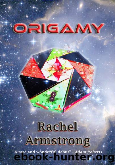 Origamy by Rachel Armstrong