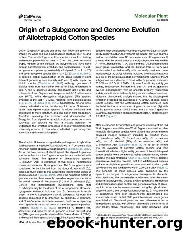 Origin of a Subgenome and Genome Evolution of&nbsp;Allotetraploid Cotton Species by Peng He & Yuzhou Zhang & Guanghui Xiao