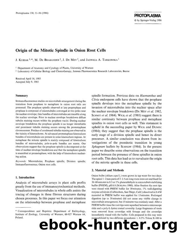 Origin of the mitotic spindle in onion root cells by Unknown