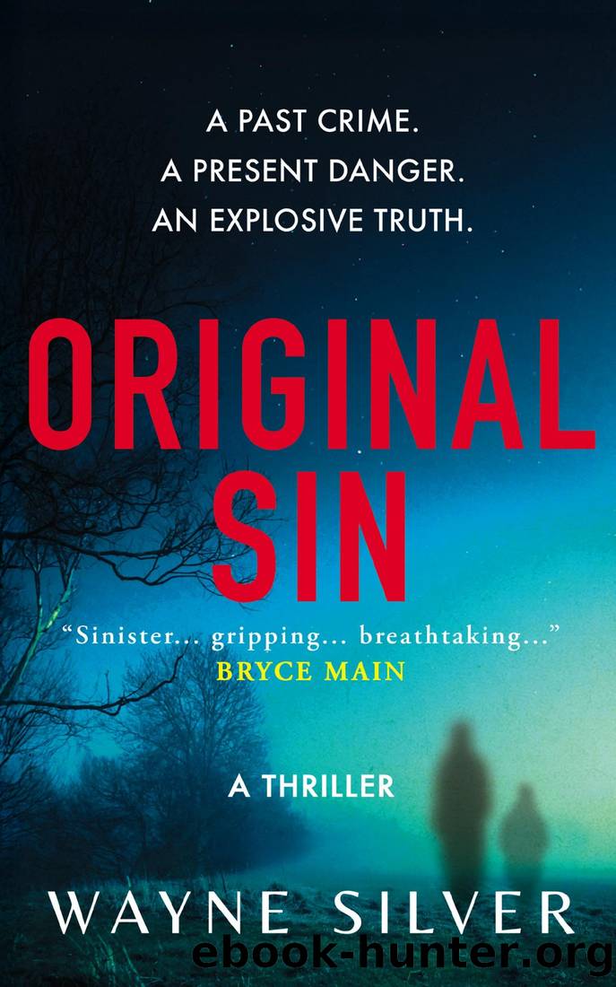 Original Sin by Wayne Silver