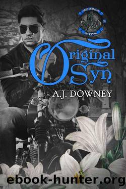 Original Syn: Iron Wraiths MC by A.J. Downey
