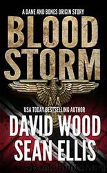 Origins 10 Bloodstorm by David Wood