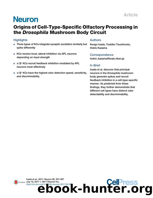 Origins of Cell-Type-Specific Olfactory Processing in the Drosophila Mushroom Body Circuit by Kengo Inada & Yoshiko Tsuchimoto & Hokto Kazama