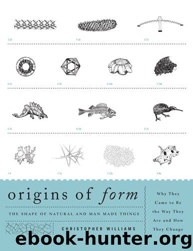 Origins of Form by Williams Christopher