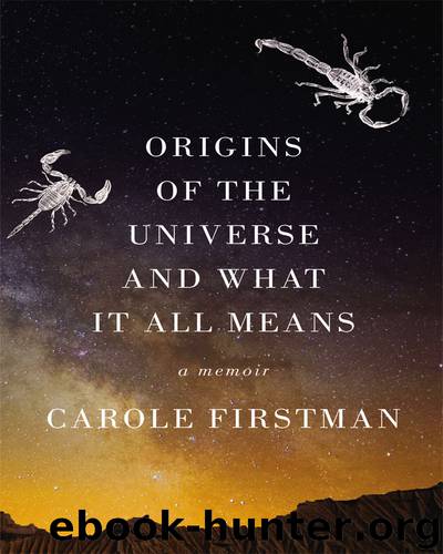 Origins of the Universe and What It All Means by Carole Firstman
