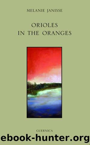 Orioles In The Oranges by Melanie Janisse