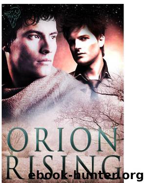 Orion Rising by S.A. Meade