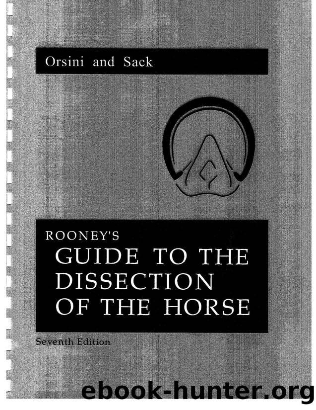 Orisni and Sack by Guide to the Dissection of the Horse