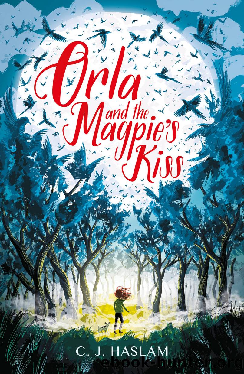 Orla and the Magpie's Kiss by C. J. Haslam