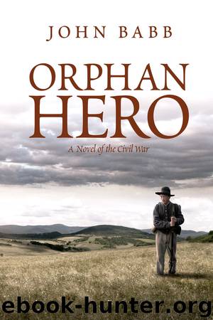 Orphan Hero by John Babb