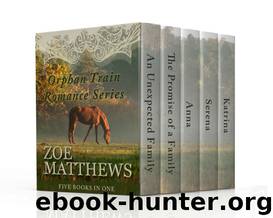Orphan Train Romance 1 - 5 by Zoe Matthews