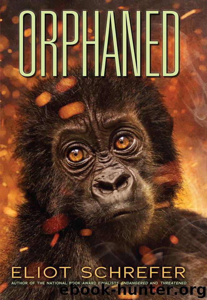 Orphaned by Eliot Schrefer