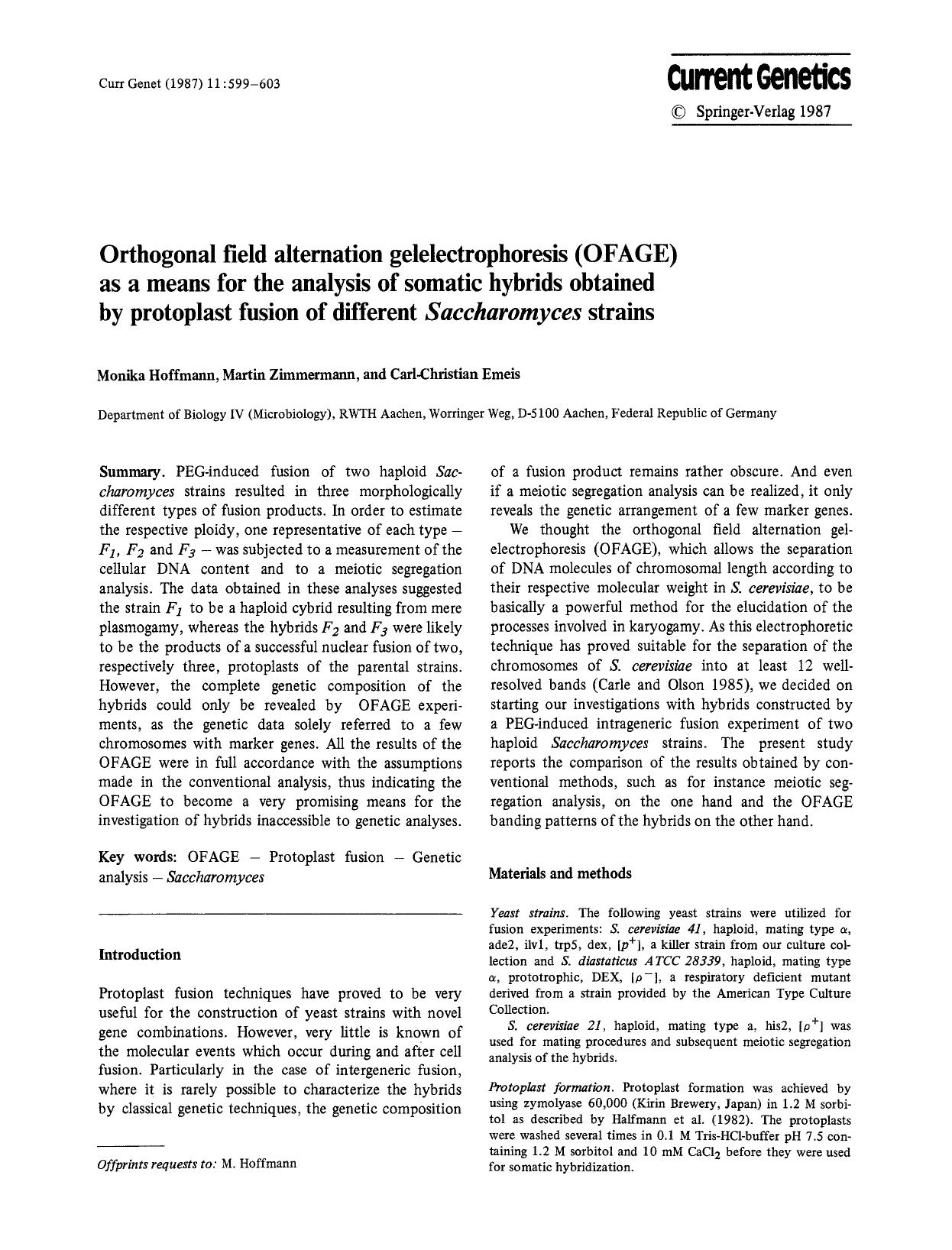 Orthogonal field alternation gelelectrophoresis (OFAGE) as a means for the analysis of somatic hybrids obtained by protoplast fusion of different <Emphasis Type="Italic">Saccharomy by Unknown