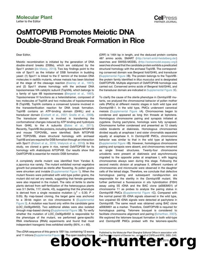OsMTOPVIB Promotes Meiotic DNA Double-Strand Break Formation in Rice by unknow