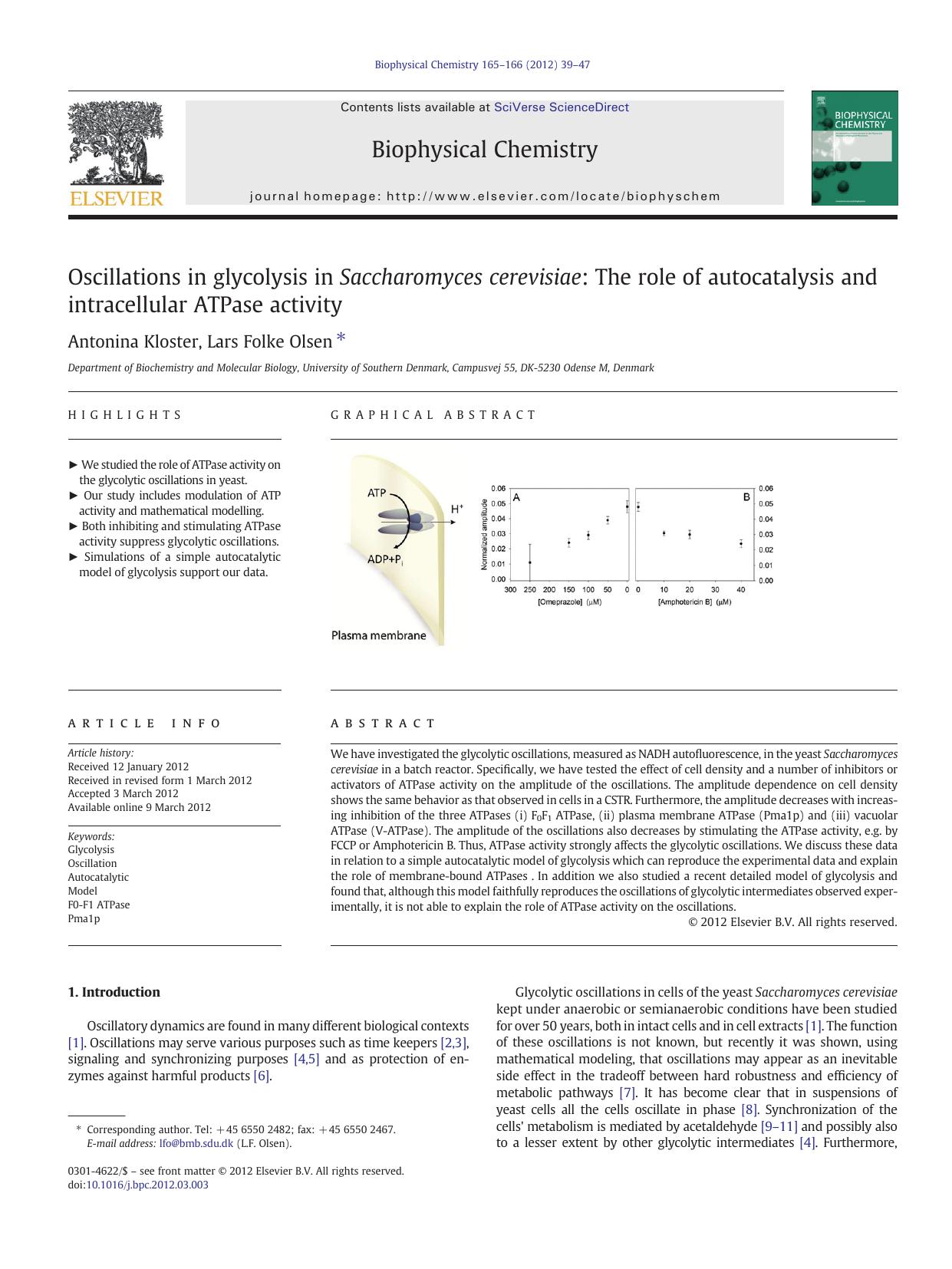 Oscillations in glycolysis in Saccharomyces cerevisiae: The role of autocatalysis and intracellular ATPase activity by Antonina Kloster & Lars Folke Olsen