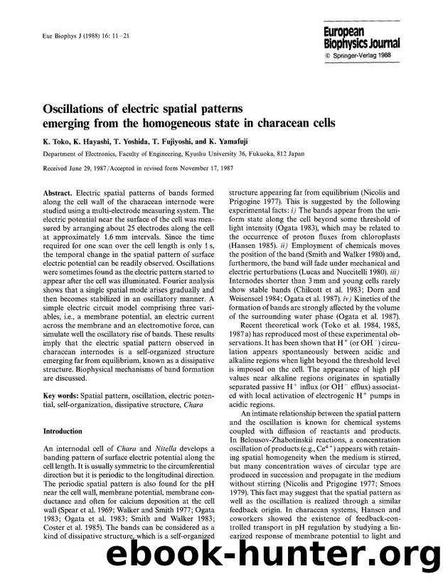 Oscillations of electric spatial patterns emerging from the homogeneous state in characean cells by Unknown