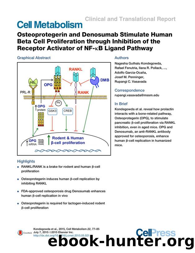 Osteoprotegerin and Denosumab Stimulate Human Beta Cell Proliferation through Inhibition of the Receptor Activator of NF-&kappa;B Ligand Pathway by unknow
