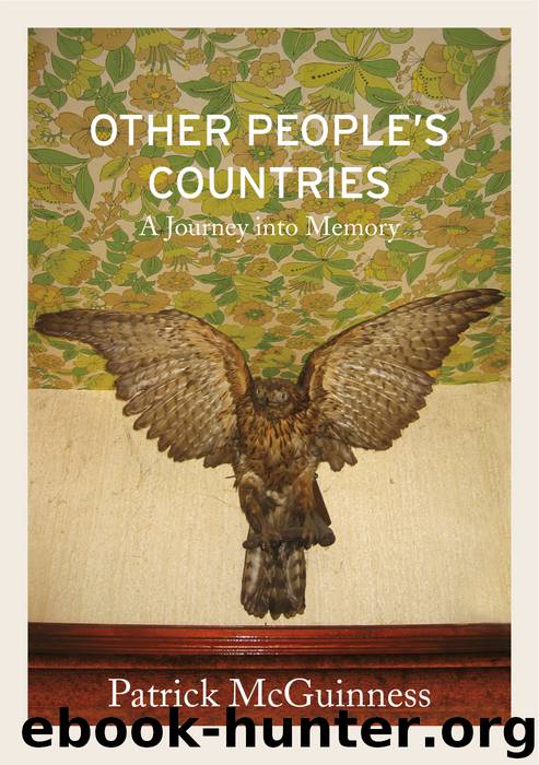 Other People’s Countries by Patrick McGuinness