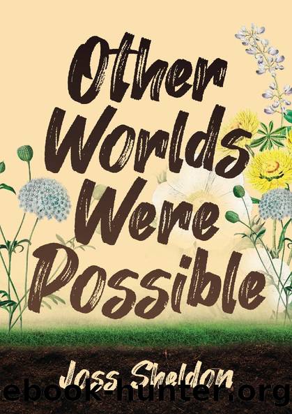 Other Worlds Were Possible by Joss Sheldon