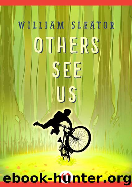Others See Us by William Sleator