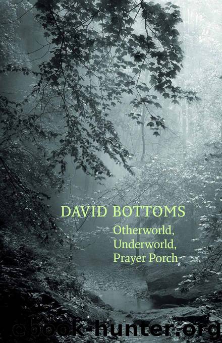 Otherworld, Underworld, Prayer Porch by David Bottoms