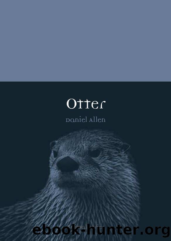 Otter by Daniel Allen
